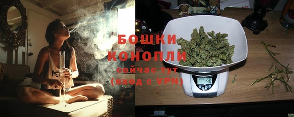 сатива Саяногорск