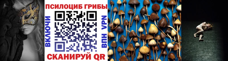 Псилоцибиновые грибы мицелий  сайты даркнета наркотические препараты  Кропоткин  где купить  